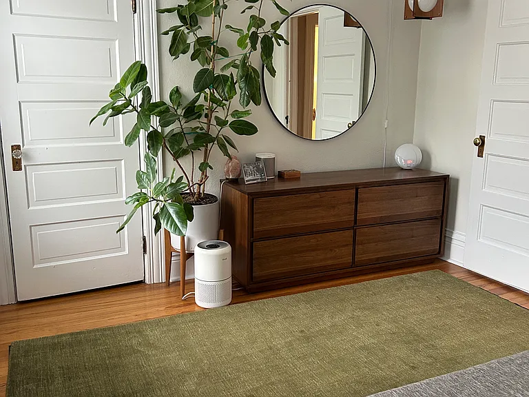 Master bed with walk-in closet