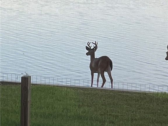 5th image of 6725 Lakeside Dr E
