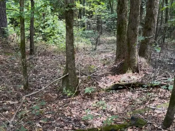 0 Walker Rd, Edgefield, SC 29824