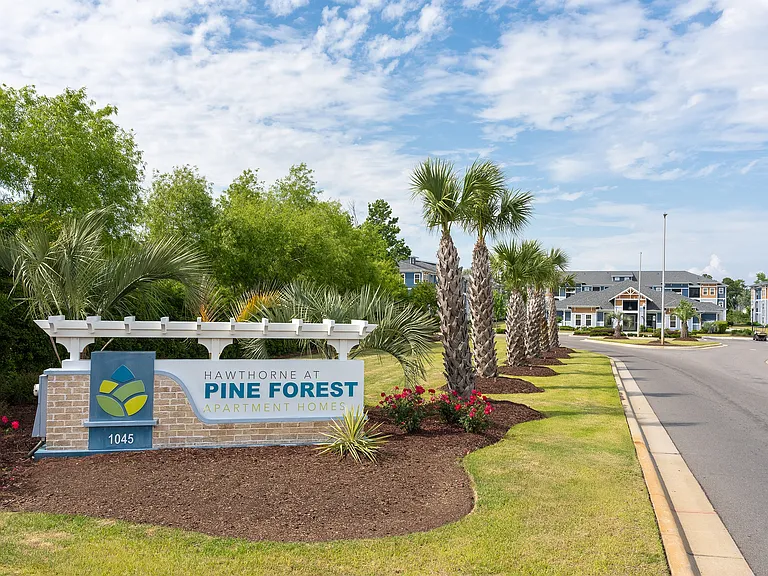 Hawthorne at Pine Forest — Photo 62