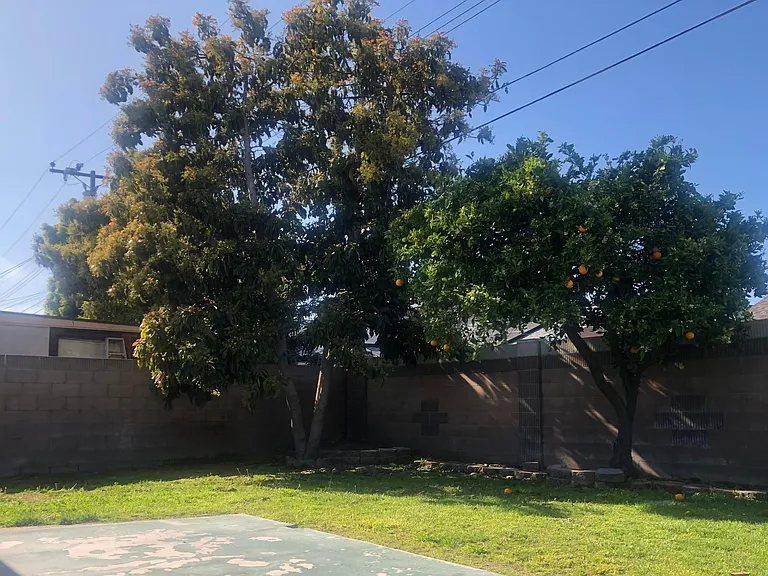 8431 Valencia Dr — Photo 12