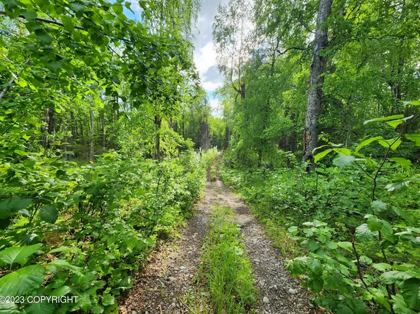 10392 S Ridge Rd, Wasilla, AK 99623