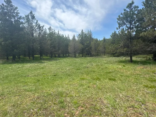 Salmonberry Rd Parcel 17, Orofino, ID 83544