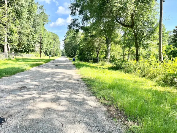 Bitter Creek Dr, Shepherd, TX 77371