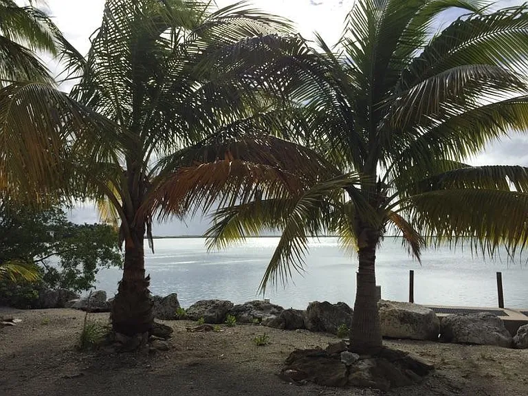 ocean view