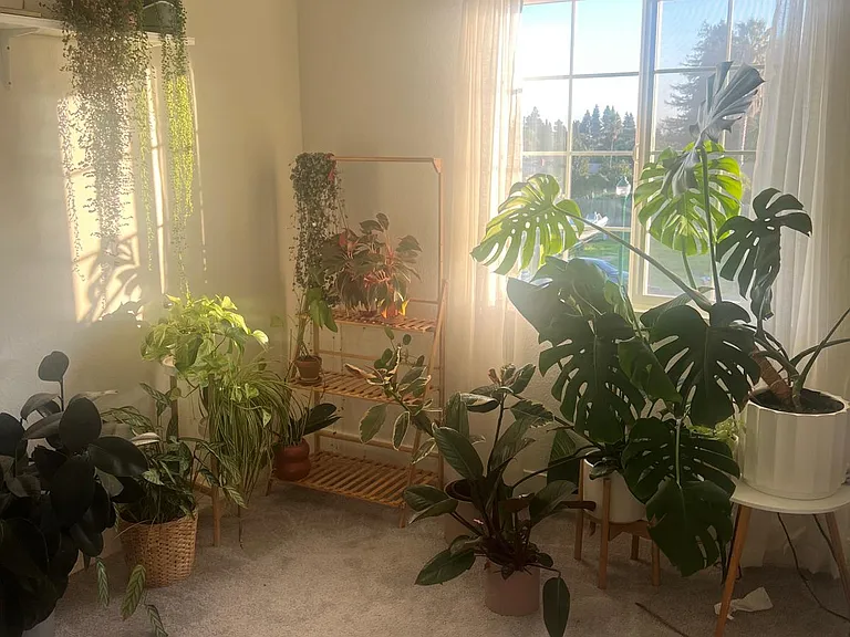 42 Mountainside Way — Photo 6