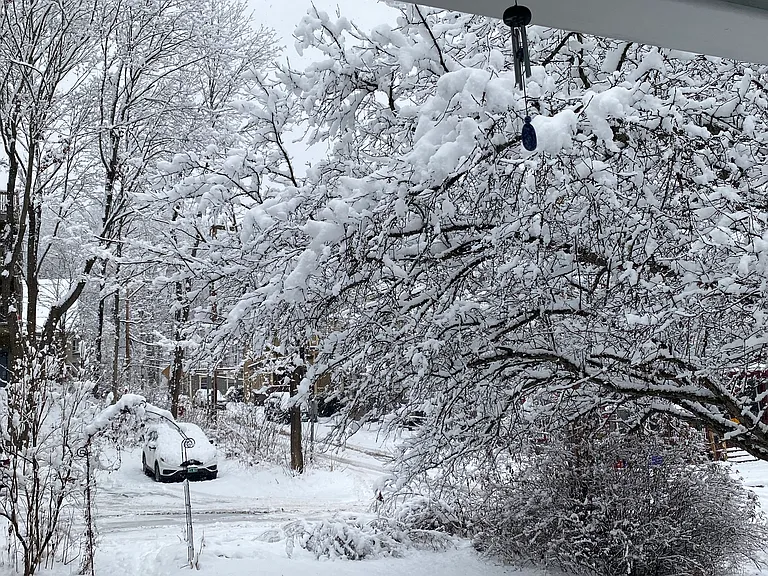 Parking area and crabapple in December.