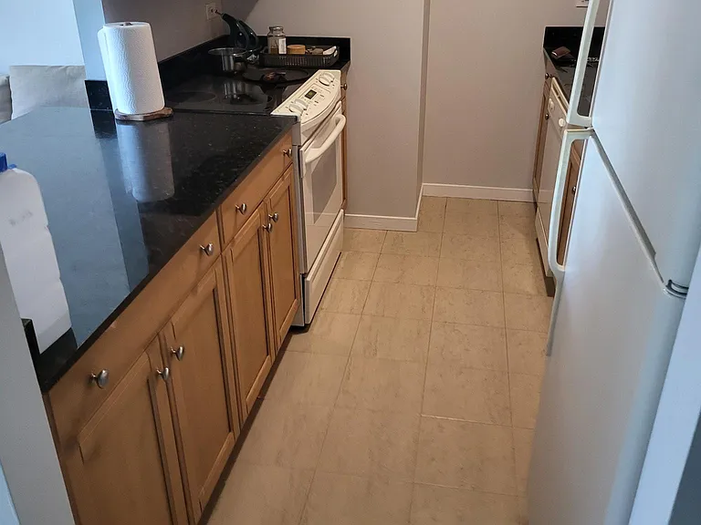 400 N Lasalle St #2803 — Photo 7