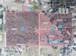 Bloomfield Ave, Yalaha, FL 34797