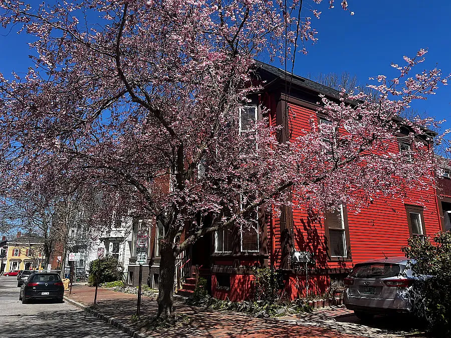 75 Carleton St — Photo 1