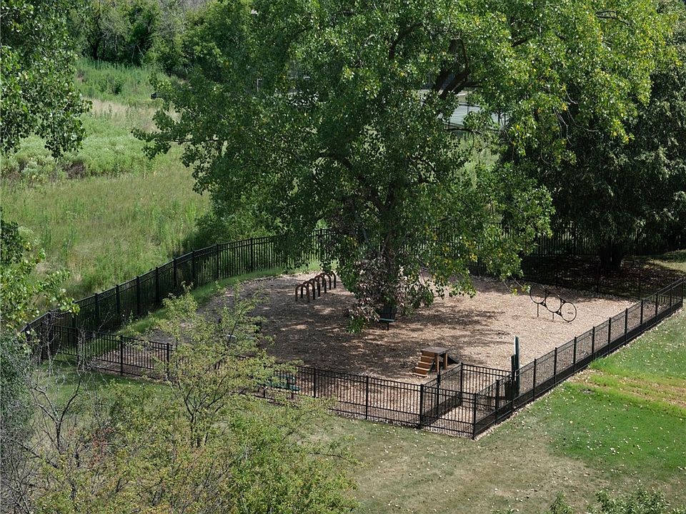 Dog Park