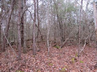 28 June Bug Ln, Murphy, NC 28906