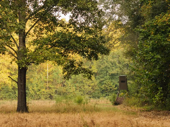 Pea Ridge Rd, Lexington, MS 39095