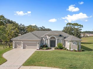 13363 Twinberry Dr, Spring Hill, FL 34609