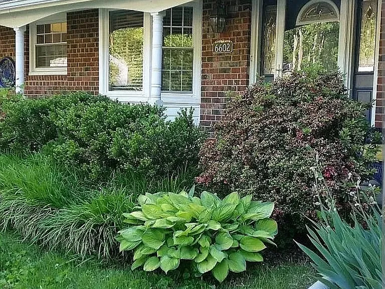 6602 Huntsman Blvd — Photo 2