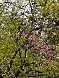 Rented by Jade Stone Real Estate Consulting