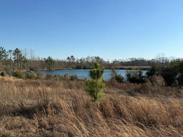 0 Green Oak Rd, Lyons, GA 30436