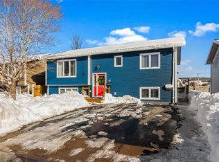 93 Guzzwell Dr, St. John's, NL A1A4M6