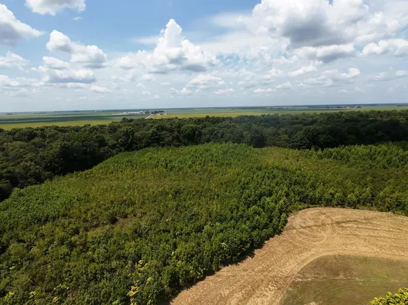 2406 Clay 247 Rd, Corning, AR 72422