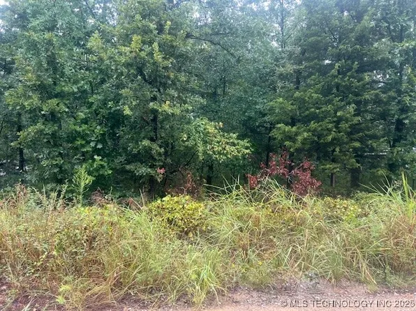 (undisclosed Address), Mead, OK 73449