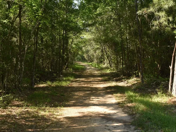 Oceola Rd, Loranger, LA 70446