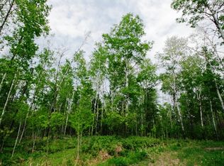LOT8 Blk1 Snowshoe Tr, Tofte, MN 55615