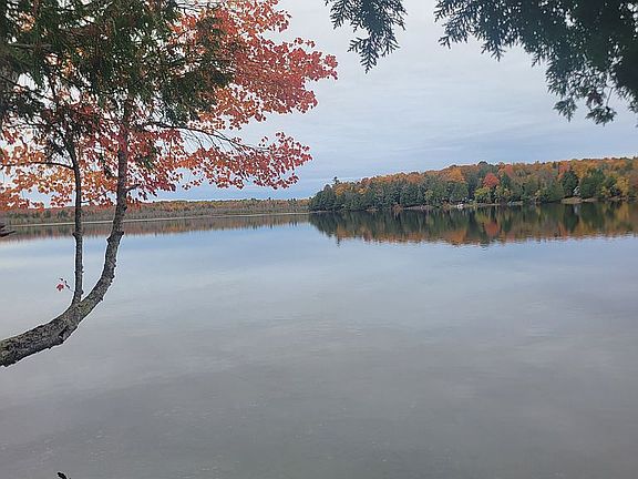 5th image of 59 Camp Rd