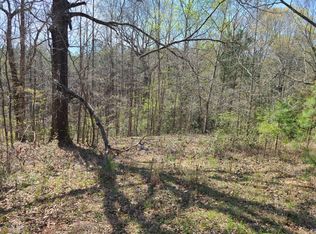 LOT 1C Holtzclaw Rd, Grantville, GA 30220