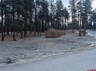 74 Beaver Creek Dr, Bayfield, CO 81122
