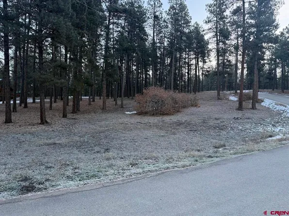 Lot 74 Beaver Creek Drive, Bayfield, CO 81122