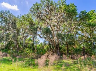 1 Jameson Rd #15, Lithia, FL 33547