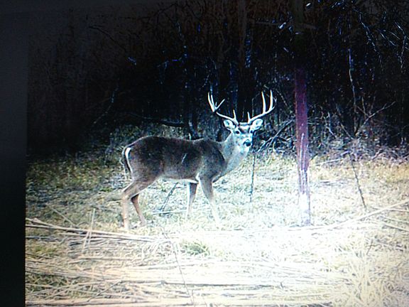 3rd image of 500 An County Road 2713