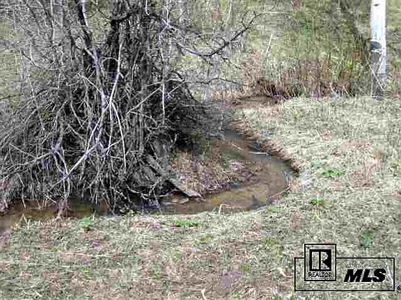 5th image of 33430 Danver Trl