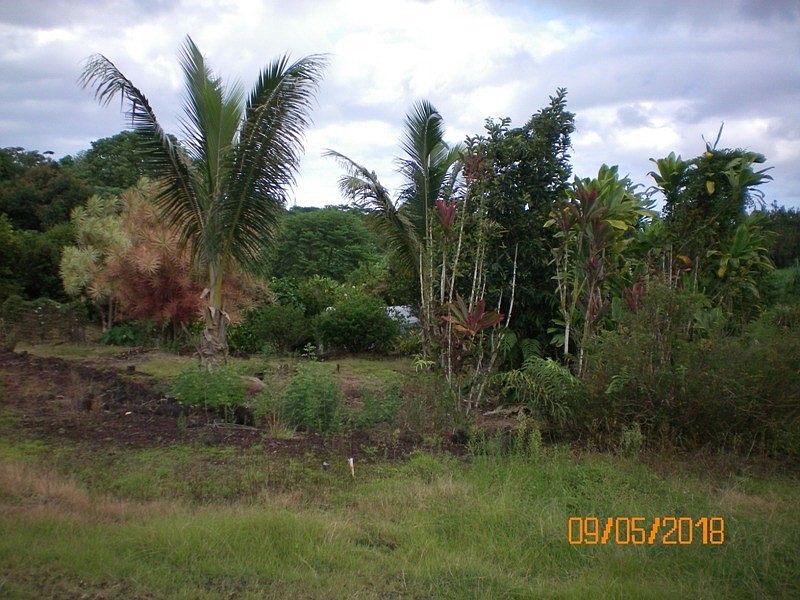 1st image of 17 311th #813
