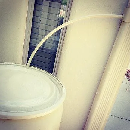 Rain barrels for lower water bills