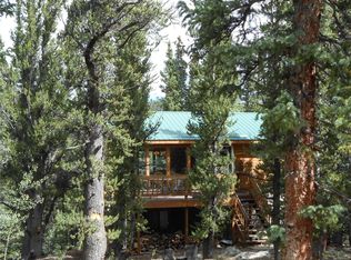 577 Golden Hills Rd, Alma, CO 80420