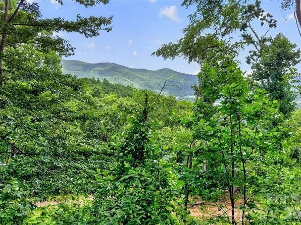 32 Nellie Bell Ln, Swannanoa, NC 28778