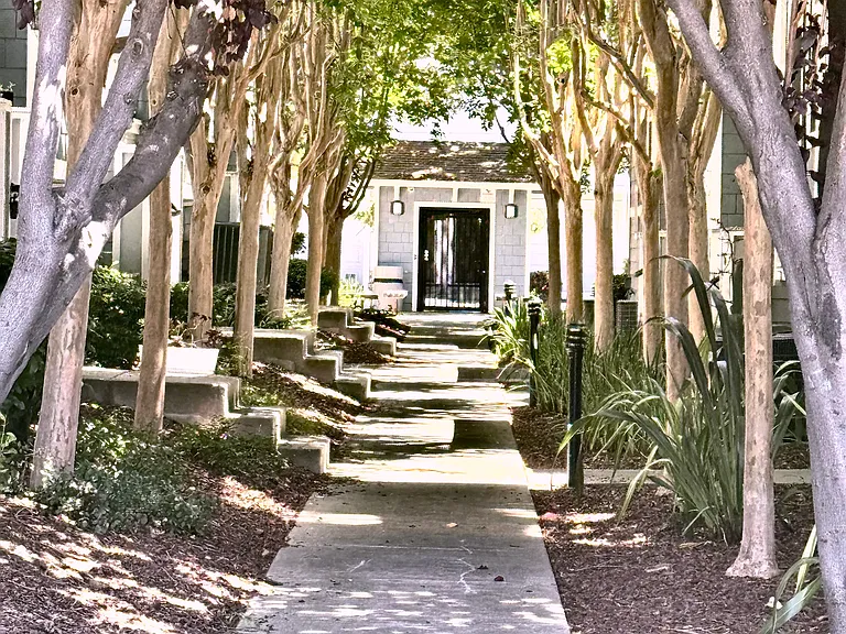 719 Veranda Cir — Photo 23