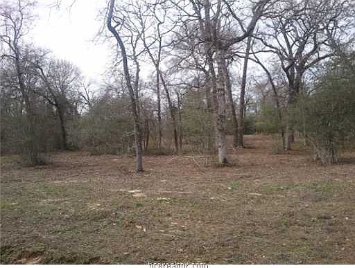 5th image of 0 Edinburg Trl