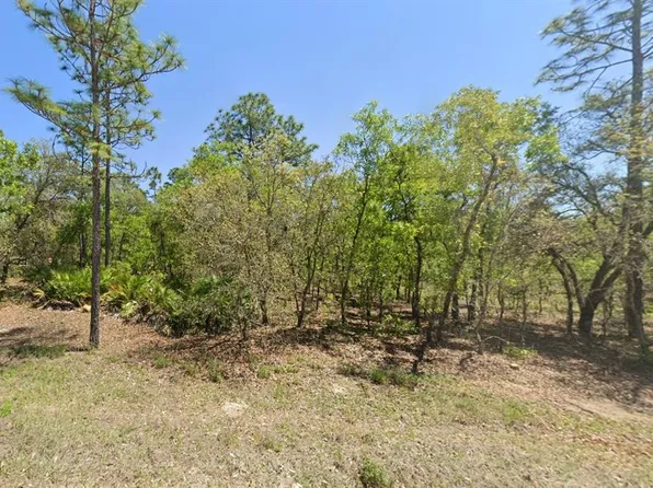 SW 125th Ter Lot 5, Dunnellon, FL 34432