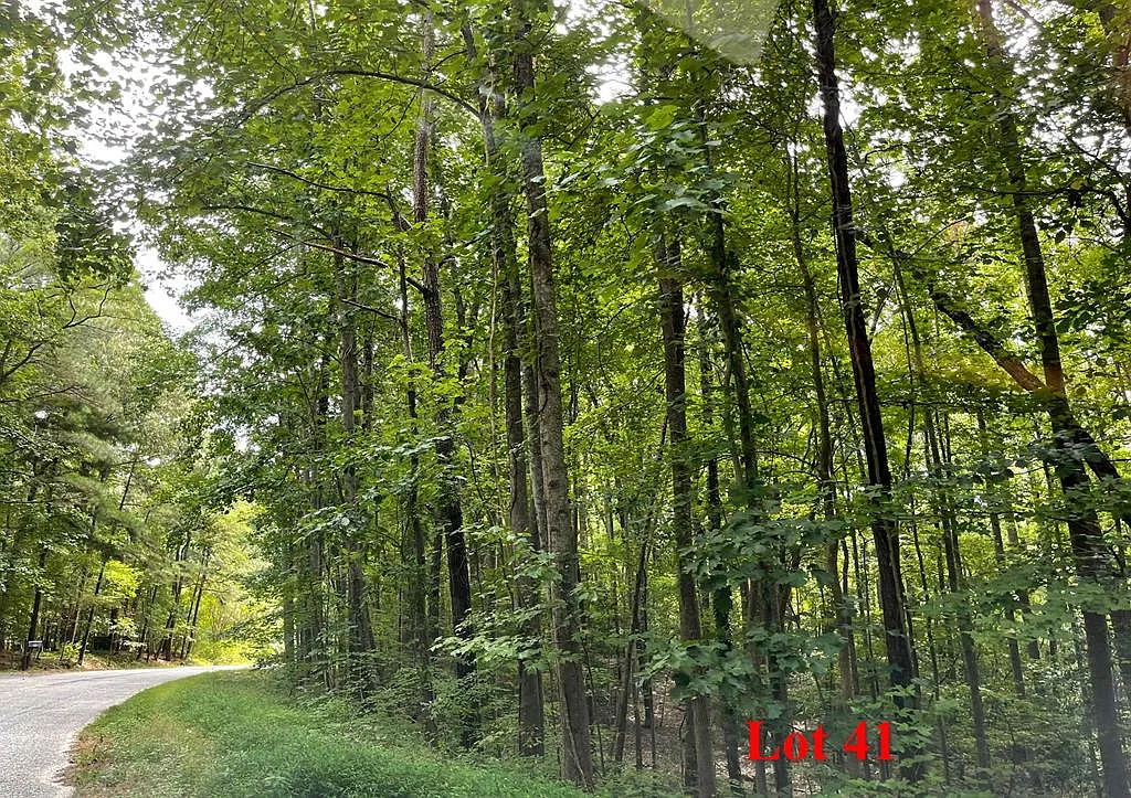 41 Wicomico Dr photo 1