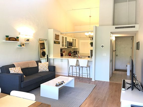 Living room/kitchen/entrance