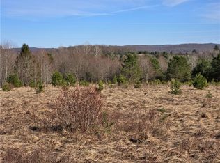 0 Bourne Hill Rd, Morris, NY 13808