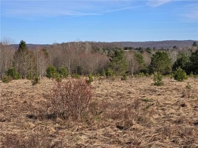 0 Bourne Hill Rd, Morris, NY, 13808