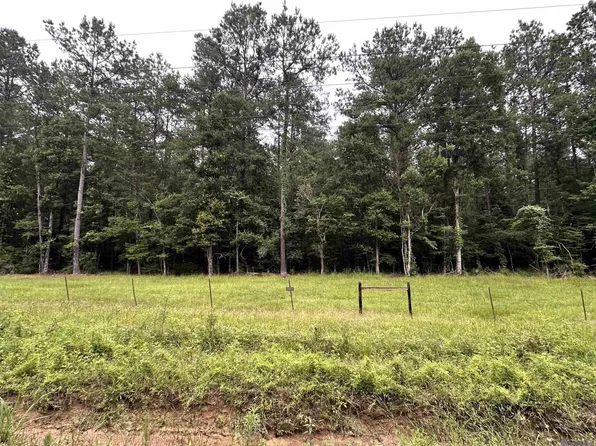 3 S Frost Rd #B, Livingston, LA 70754