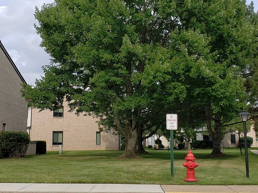 1st image of 16303 Heather Ln #D1