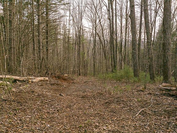 4th image of Bric Haven Ln