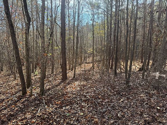 3rd image of 0 Scott Rd