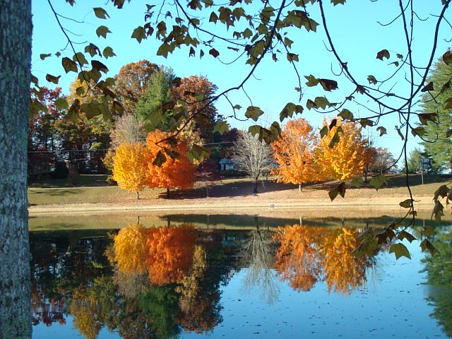 Lake in the fall
