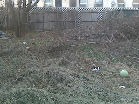 4th image of 29 Mac Dougal St